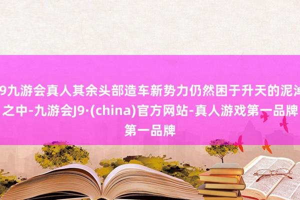 j9九游会真人其余头部造车新势力仍然困于升天的泥淖之中-九游会J9·(china)官方网站-真人游戏第一品牌