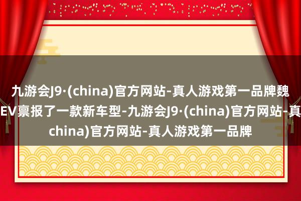 九游会J9·(china)官方网站-真人游戏第一品牌魏牌蓝山DHT-PHEV禀报了一款新车型-九游会J9·(china)官方网站-真人游戏第一品牌