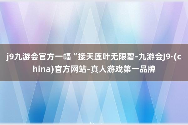 j9九游会官方一幅“接天莲叶无限碧-九游会J9·(china)官方网站-真人游戏第一品牌