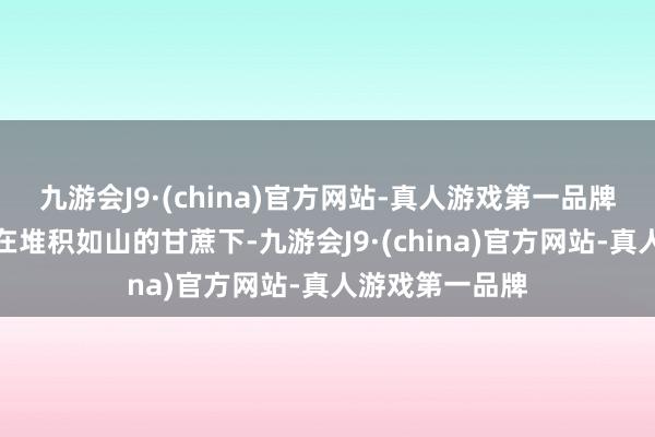 九游会J9·(china)官方网站-真人游戏第一品牌崇左东说念主在堆积如山的甘蔗下-九游会J9·(china)官方网站-真人游戏第一品牌