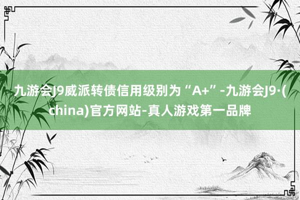 九游会J9威派转债信用级别为“A+”-九游会J9·(china)官方网站-真人游戏第一品牌