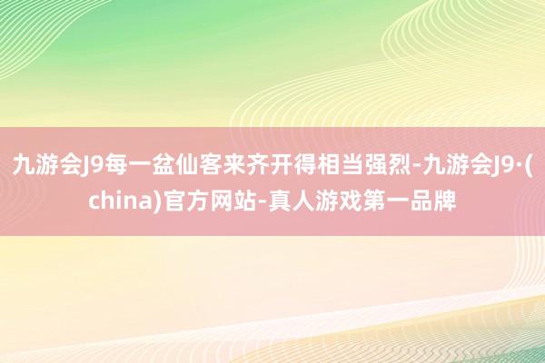 九游会J9每一盆仙客来齐开得相当强烈-九游会J9·(china)官方网站-真人游戏第一品牌