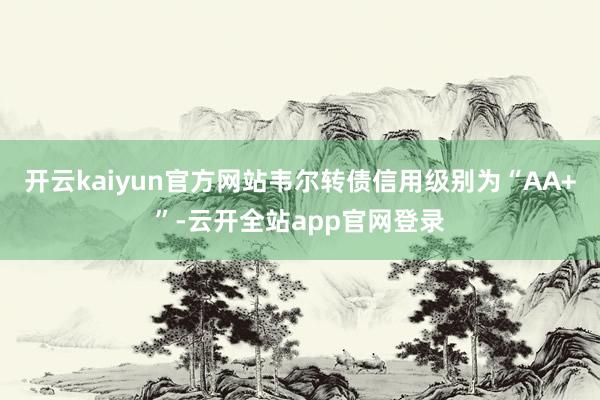 开云kaiyun官方网站韦尔转债信用级别为“AA+”-云开全站app官网登录